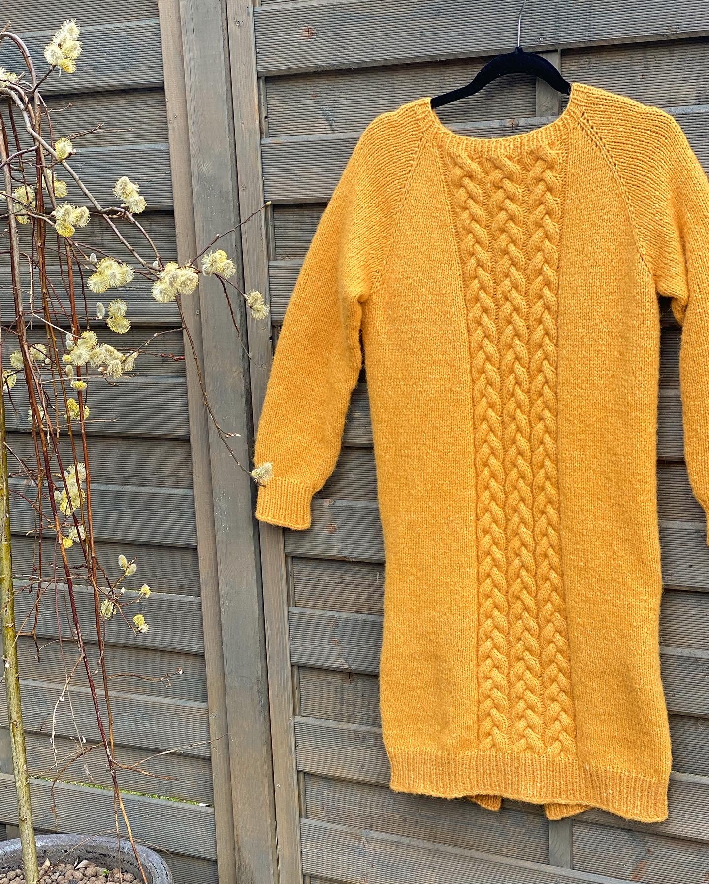 Finfin cardigan
